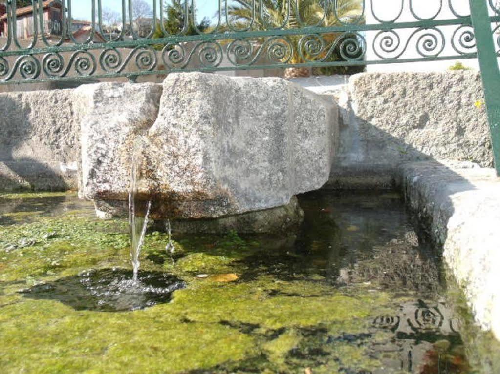 Hotel Quinta Da Casa Grande De Pinheiro Santa Marinha do Zêzere Exteriér fotografie